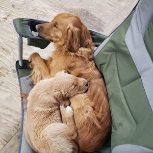 Meet your Posher, Lesley